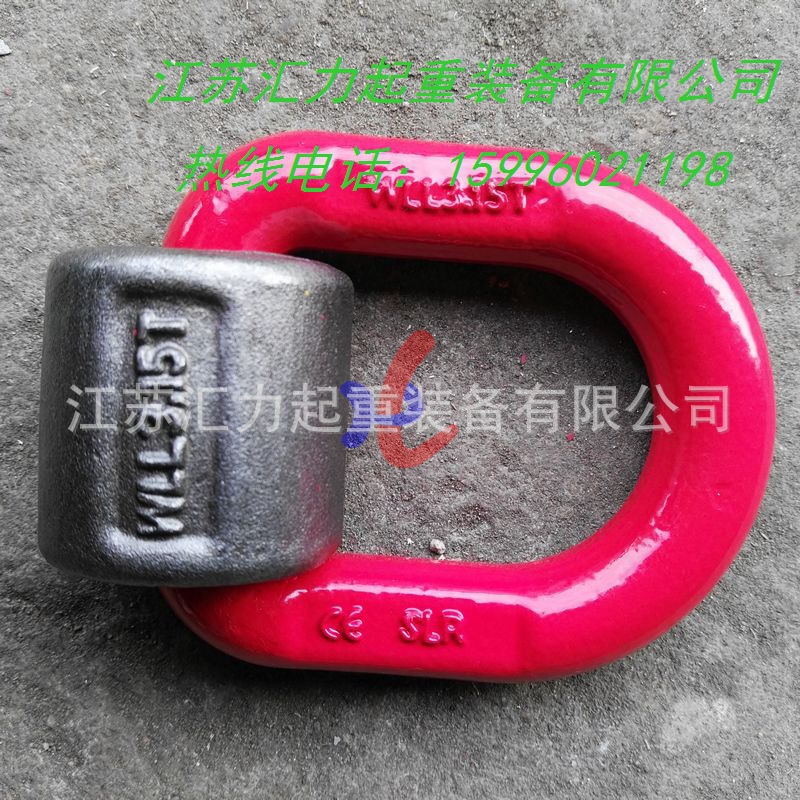 吊环3-15t (2)